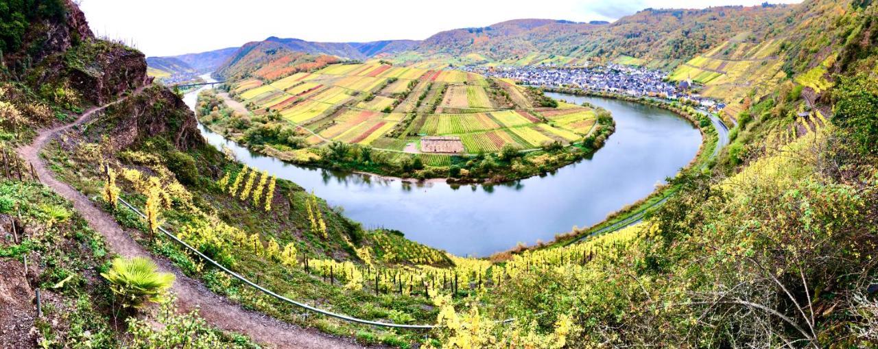 Haus Am Ufer Mit Rheinpanoramablick Διαμέρισμα Κόμπλεντς Εξωτερικό φωτογραφία