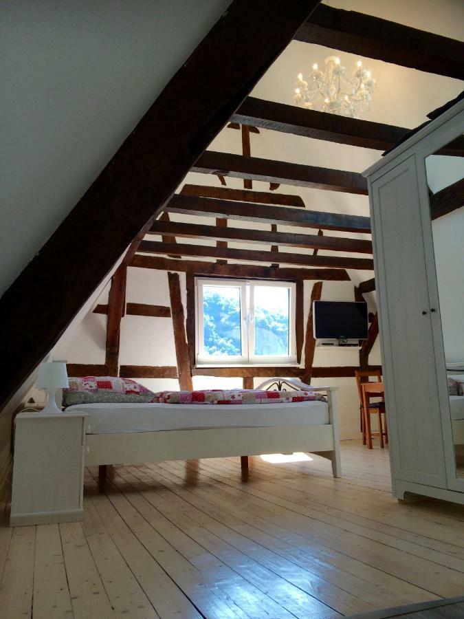 Haus Am Ufer Mit Rheinpanoramablick Διαμέρισμα Κόμπλεντς Εξωτερικό φωτογραφία