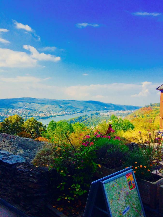 Haus Am Ufer Mit Rheinpanoramablick Διαμέρισμα Κόμπλεντς Εξωτερικό φωτογραφία