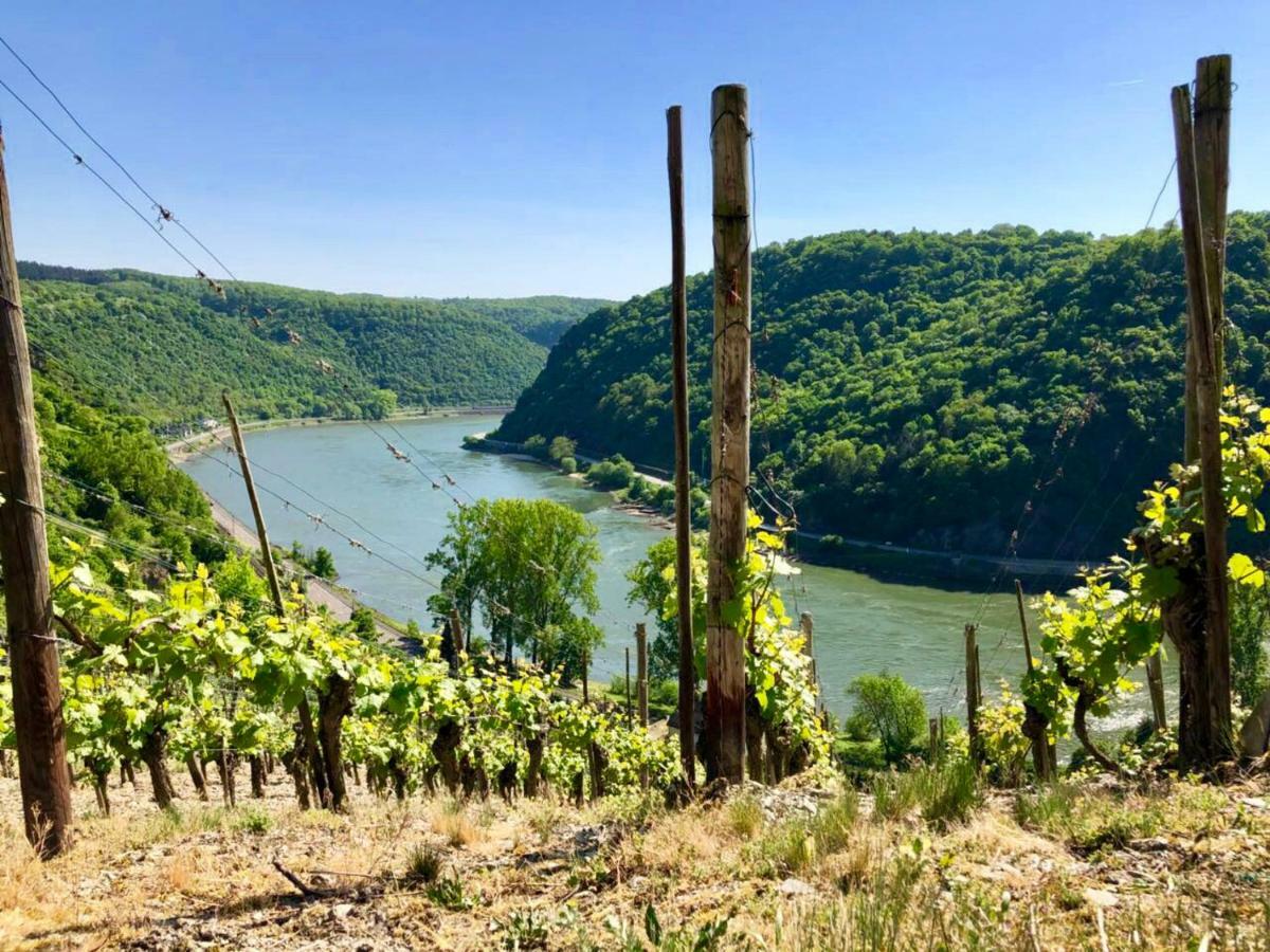 Haus Am Ufer Mit Rheinpanoramablick Διαμέρισμα Κόμπλεντς Εξωτερικό φωτογραφία